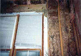 termite control in manesar, Professionalâ€™z PMS, Gurgaon