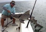 Ms B. Haven Charters, Naples