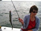 Ms B. Haven Charters, Naples