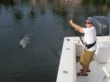 Ms B. Haven Charters, Naples