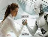 Appin Noida Sector 2 Summer Training in 2014, IT Education Training, Noida