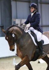 Lower Dale Farm Equestrian Centre, Stockport