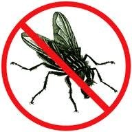 Pest Control Epsom, 25 Ladbroke Rd, Epsom, KT18 5BG, 02036160410, http://www.pestcontrollewisham.com Profile Photos of Pest Control Epsom 25 Ladbroke Rd - Photo 4 of 4 Pest Control Epsom, 25 Ladbroke Rd, Epsom, KT18 5BG, 02036160410, http://www.pestcontrollewisham.com Profile Photos of Pest Control Epsom 25 Ladbroke Rd - Photo 4 of 4