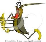 Pest Control Epsom, 25 Ladbroke Rd, Epsom, KT18 5BG, 02036160410, http://www.pestcontrollewisham.com, Pest Control Epsom, Epsom