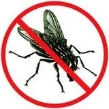 Pest Control Epsom, 25 Ladbroke Rd, Epsom, KT18 5BG, 02036160410, http://www.pestcontrollewisham.com, Pest Control Epsom, Epsom