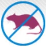 Remove Pests, Newton Abbot