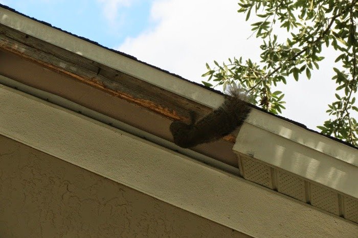  Profile Photos of Elite Analysis 3211 South Osceola Avenue - Photo 3 of 11