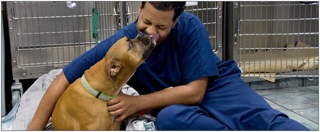  Profile Photos of BluePearl Veterinary Partners - Skokie 3735 W Dempster St - Photo 5 of 9