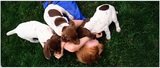 BluePearl Veterinary Partners - Skokie, Skokie