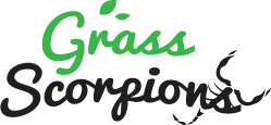  Profile Photos of Grass Scorpion | Landscaper Melbourne 5 Kallay street - Photo 1 of 1