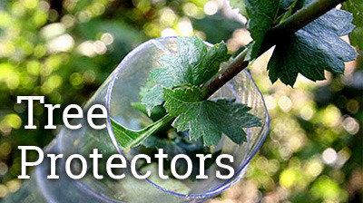  Profile Photos of Scot Plants Direct Hedgehogs Nursery, Crompton Road, Southfield Ind Estate - Photo 4 of 4