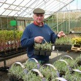  Scot Plants Direct Hedgehogs Nursery, Crompton Road, Southfield Ind Estate 