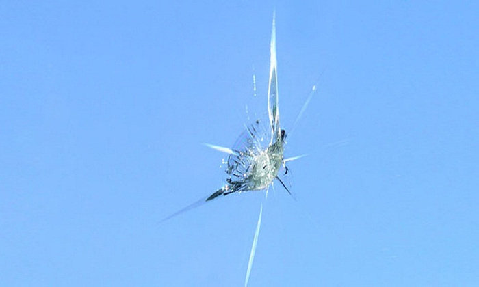  Profile Photos of Hollywood Car Glass 1523 N La Brea Ave Ste. 207/1 - Photo 3 of 4