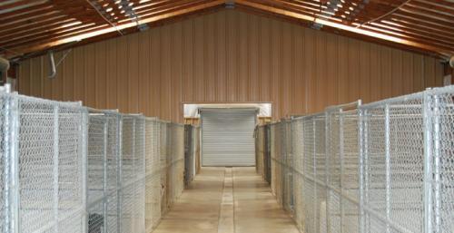  New Album of Rocky Canyon Kennels 6805 Rocky Canyon Road - Photo 2 of 2