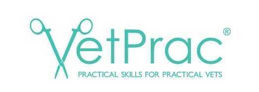  Profile Photos of VetPrac 14 Mentmore Ave - Photo 1 of 1
