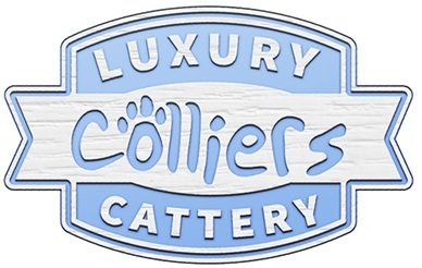 Colliers Cattery Profile Photos of Colliers Cattery St Colliers, Northiam Road, Staplecross - Photo 1 of 9