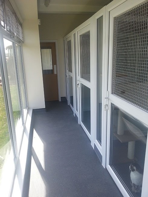 Colliers Cattery Profile Photos of Colliers Cattery St Colliers, Northiam Road, Staplecross - Photo 5 of 9