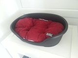 Colliers Cattery, Colliers Cattery, Robertsbridge