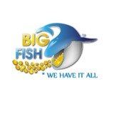  www.Bigfish.ae Jumeirah lakes towers 