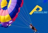 www.Bigfish.ae, Dubai