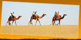 Menus & Prices, Golden Triangle Tour Packages, Jaipur, Rajasthan -302001
