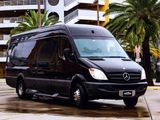 Tampa Limo, Tampa