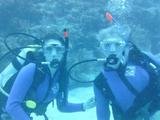 Sea Dwellers Dive Center, Key Largo