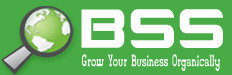 Bestseoservice Profile Photos of Best SEO Service Ramamurthy Nagar, bangalore - Photo 1 of 1