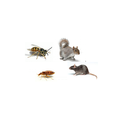  Profile Photos of Pest Control Specialists London 49-54 Manor Court, York Way - Photo 1 of 1