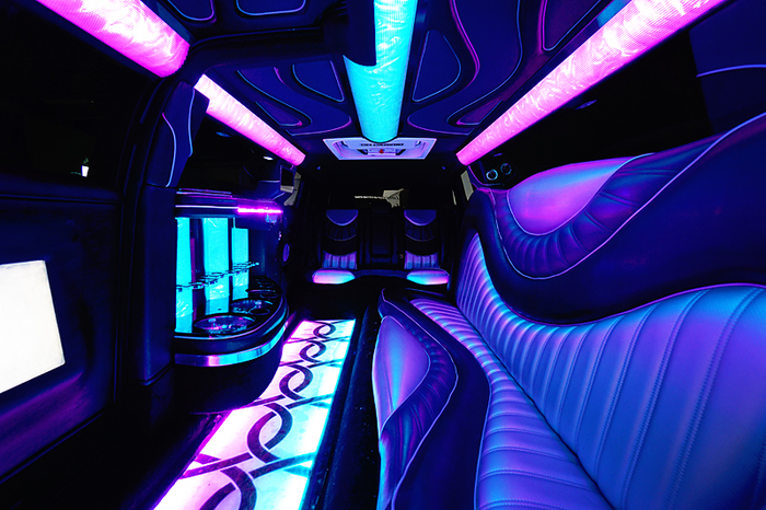                                 New Album of South Lyon Party Bus 57361 Stoney Way - Photo 1 of 5