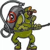 Pest Control Woolwich, 529 Woolwich New Road, Woolwich, SE18 6ED, 02036160482, http://www.pestcontrolwoolwich.com, Pest Control Woolwich, Woolwich