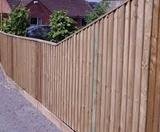 Featherboard fencing suppliers kings Lynn. Call 07712 893277 SK Services. Fencing Contractors Kings Lynn - Garden Fences, Security Chain Link and Gate Suppliers West Norfolk Downham Rd 
