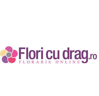 Floricudrag Profile Photos of Floricudrag Str Smaranda Braescu 35, bl 11G, sc 4, ap 62 - Photo 1 of 6