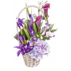  Profile Photos of Floricudrag Str Smaranda Braescu 35, bl 11G, sc 4, ap 62 - Photo 5 of 6