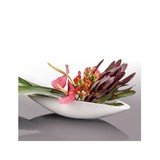 Floricudrag, Bucuresti