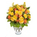 Floricudrag, Bucuresti