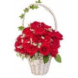 Floricudrag, Bucuresti