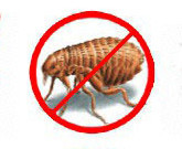  Profile Photos of Pest Control Ware 180d New Rd - Photo 4 of 4