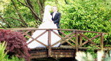 SONY DSC Nigel Jackson Photography Withey Meadows 