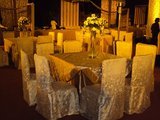  Rama Events C-108,Sector-10 