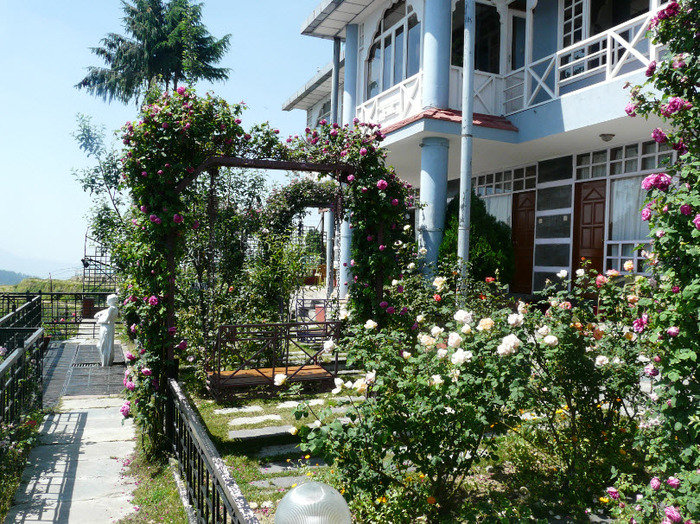 Resort In Fagu<br />
 Profile Photos of Best hotel in shimla - Snow King Retreat Fagu Top Shimla - Photo 1 of 11