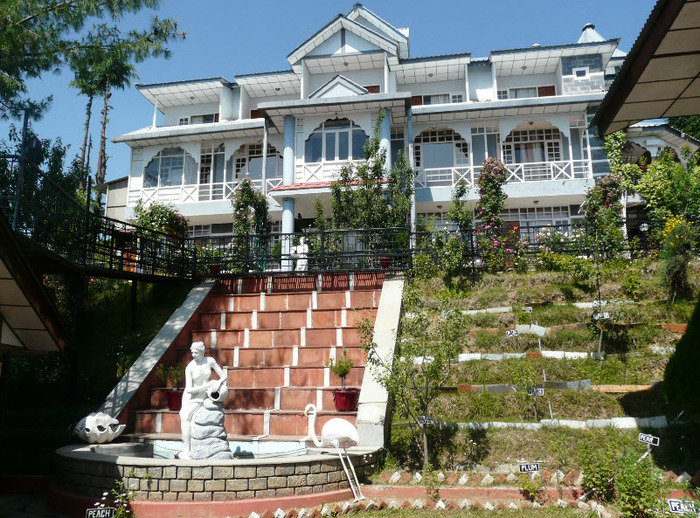 Resort In Kufri<br />
 Profile Photos of Best hotel in shimla - Snow King Retreat Fagu Top Shimla - Photo 2 of 11