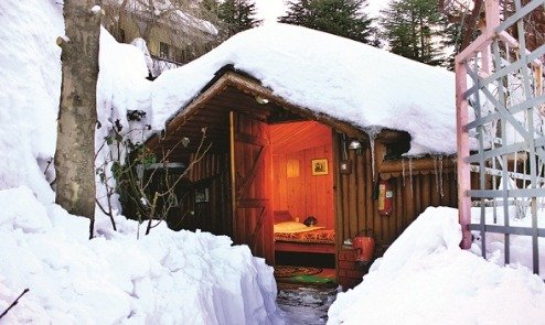 Shimla Hotel Near Airports<br />
 Profile Photos of Best hotel in shimla - Snow King Retreat Fagu Top Shimla - Photo 5 of 11