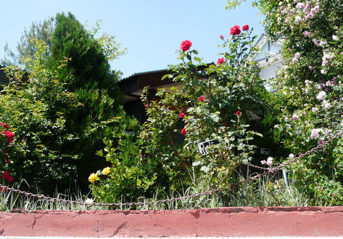 Resorts For Kufri<br />
 Profile Photos of Best hotel in shimla - Snow King Retreat Fagu Top Shimla - Photo 6 of 11