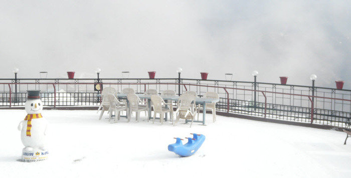 Hotels in Kufri<br />
 Profile Photos of Best hotel in shimla - Snow King Retreat Fagu Top Shimla - Photo 9 of 11