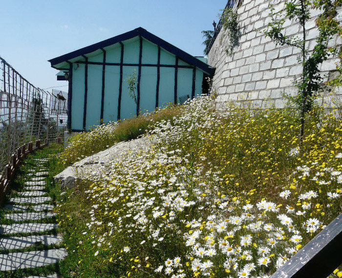 Hotels In Fagu<br />
 Profile Photos of Best hotel in shimla - Snow King Retreat Fagu Top Shimla - Photo 10 of 11