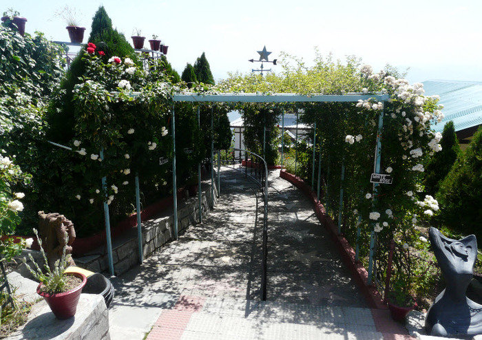 Hotels In Shimla<br />
 Profile Photos of Best hotel in shimla - Snow King Retreat Fagu Top Shimla - Photo 11 of 11