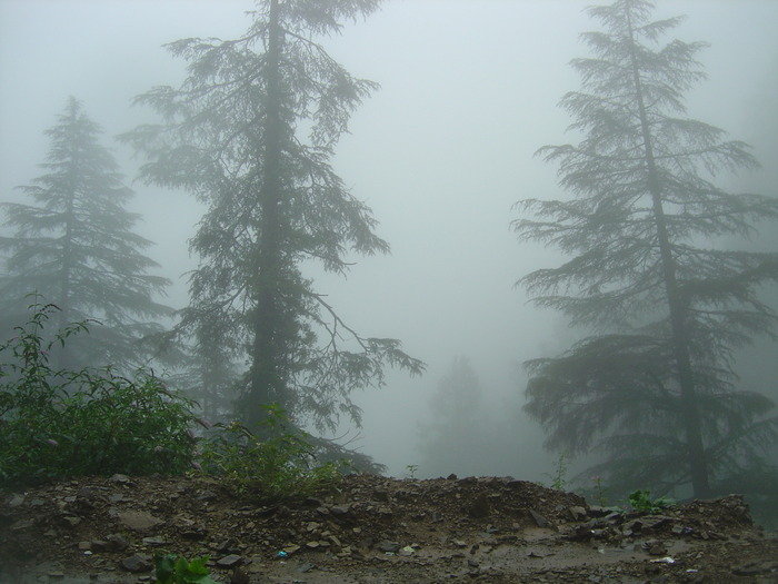   Best Hotel Kufri<br />
<br />
For more information please visit our website http://www.snowkingretreat.com/<br />
                              Resort In Kufri of Best hotel in shimla - Snow King Retreat Fagu Top Shimla - Photo 30 of 30