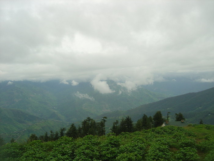      Best Resort In Shimla <br />
<br />
For more information please visit our website http://www.snowkingretreat.com/<br />
                           Resort In Kufri of Best hotel in shimla - Snow King Retreat Fagu Top Shimla - Photo 12 of 30