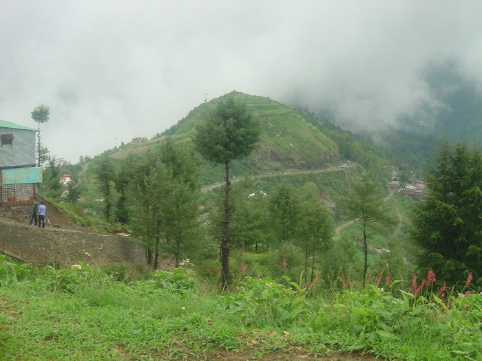 Good Hotels Shimla<br />
<br />
For more information please visit our website http://www.snowkingretreat.com/<br />
Resort In Kufri of Best hotel in shimla - Snow King Retreat Fagu Top Shimla - Photo 10 of 30 Good Hotels Shimla<br />
<br />
For more information please visit our website http://www.snowkingretreat.com/<br />
Resort In Kufri of Best hotel in shimla - Snow King Retreat Fagu Top Shimla - Photo 10 of 30